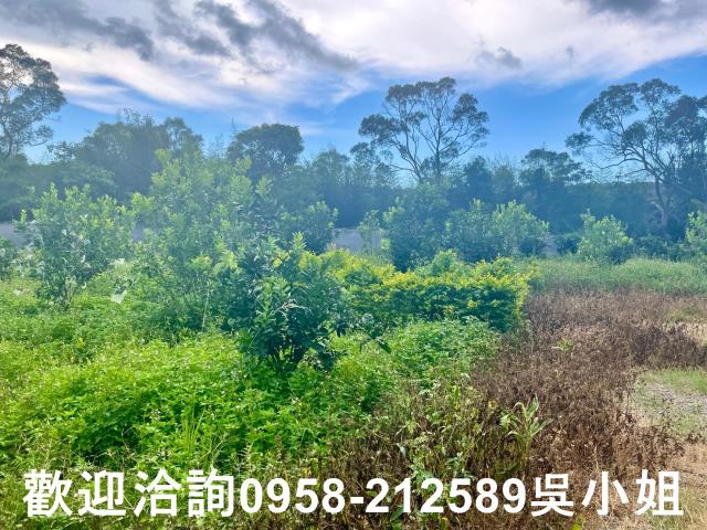 新竹新埔山坡地-5