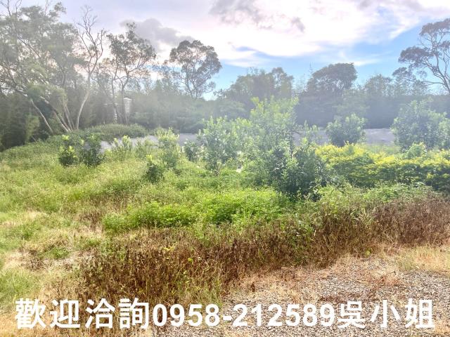 新竹新埔山坡地-6