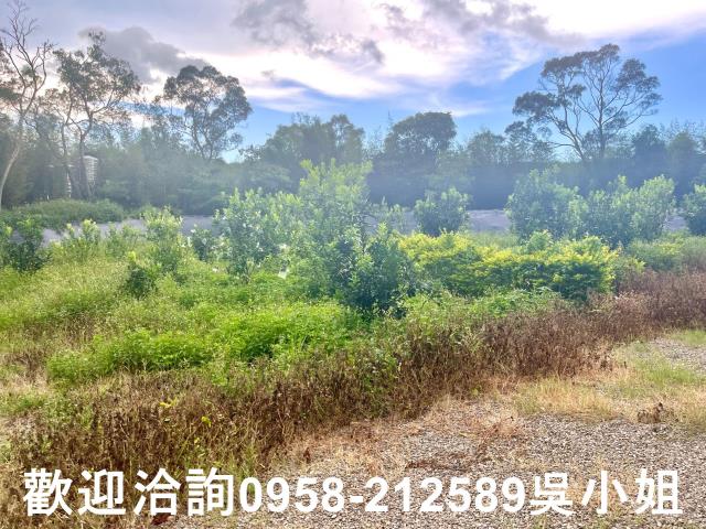 新竹新埔山坡地-7
