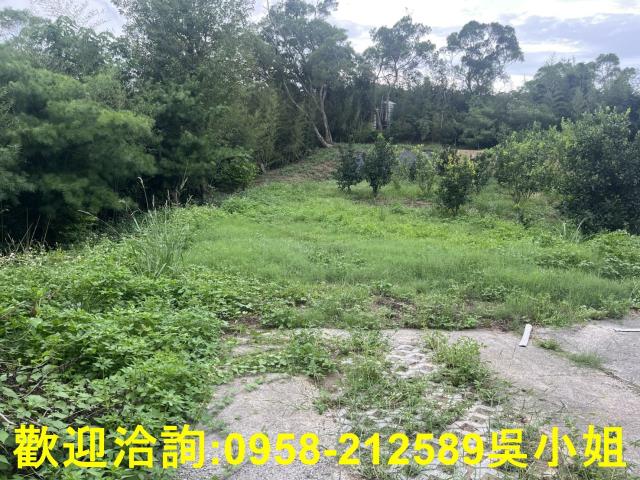 新竹新埔山坡地-7