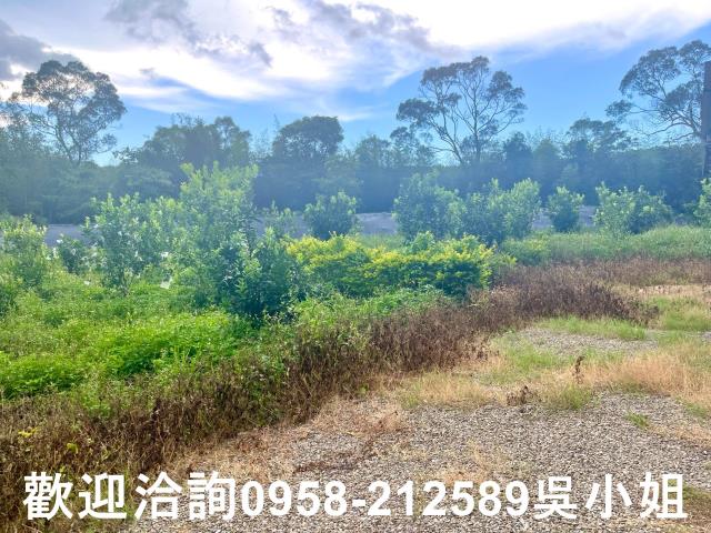 新竹新埔山坡地-8
