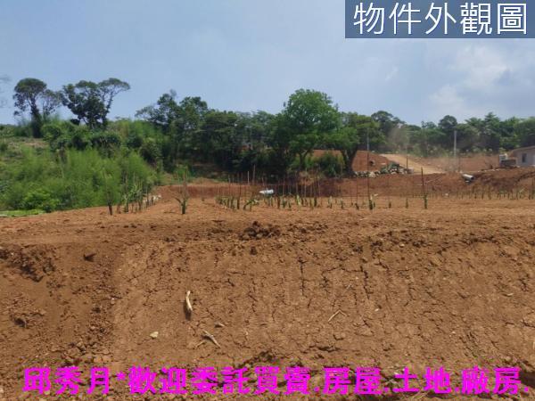 淡水農地-3