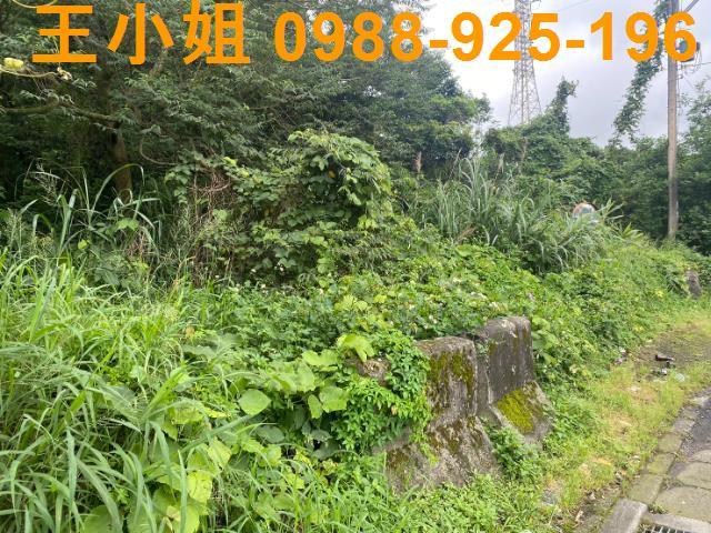 桃園平鎮農地-2