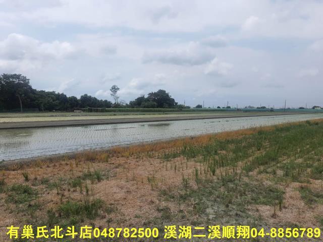 二崙農地-6