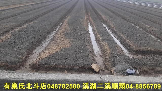 二崙農地-2