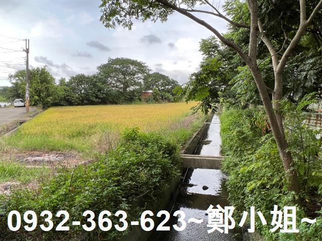 桃園農地-13
