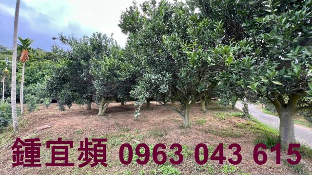 新竹峨眉農地-1