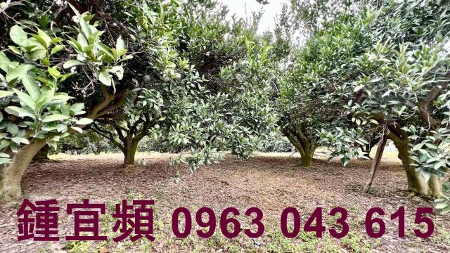 新竹峨眉農地-9