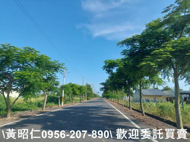 台南佳里農地-12