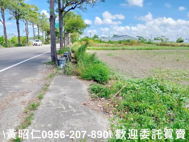 台南佳里農地-6