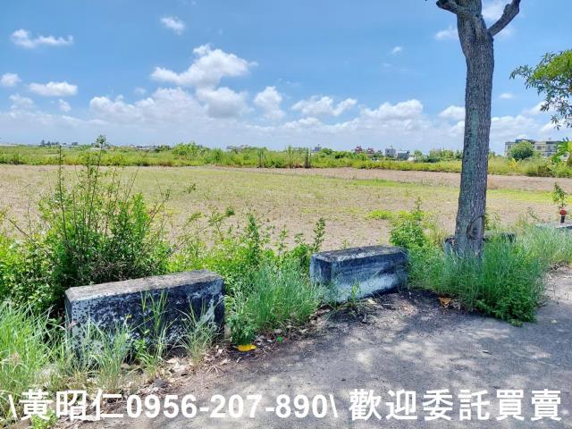 台南佳里農地-7