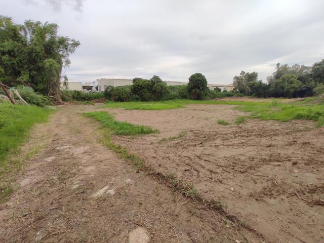 台南善化農地-1