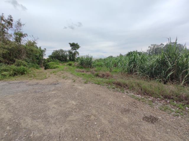 台南善化農地-7