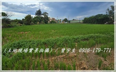 桃園觀音農地-2