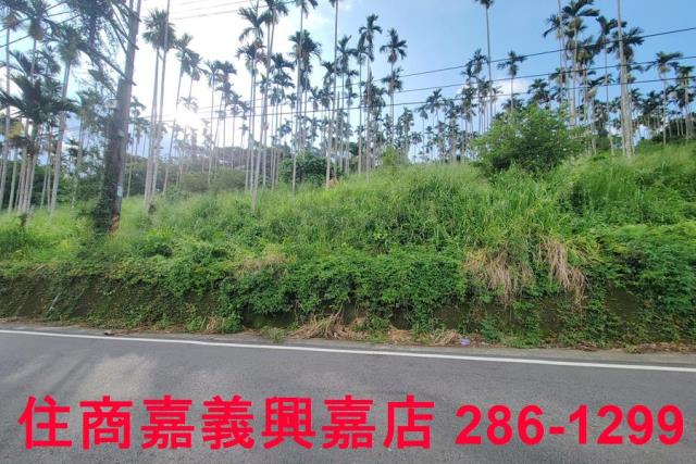 嘉義中埔農地-5