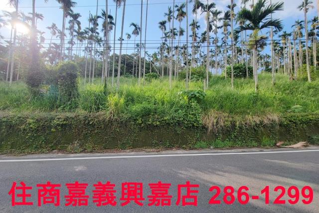 嘉義中埔農地-7