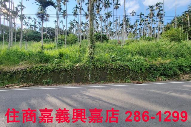 嘉義中埔農地-8