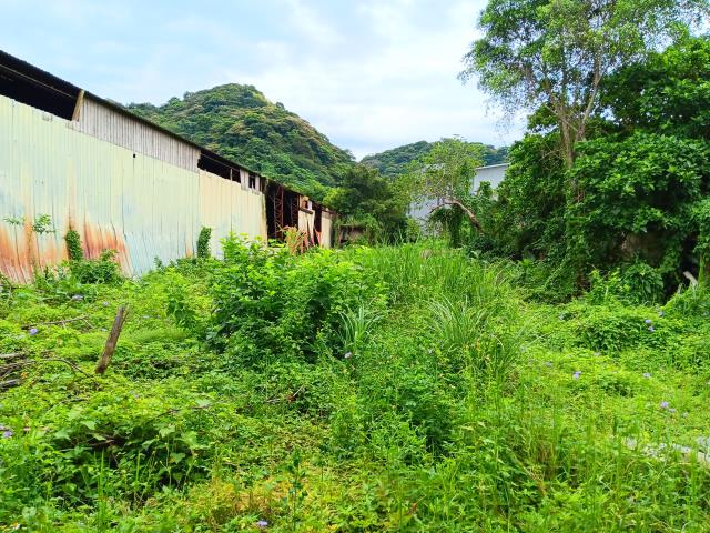 新北農地-11