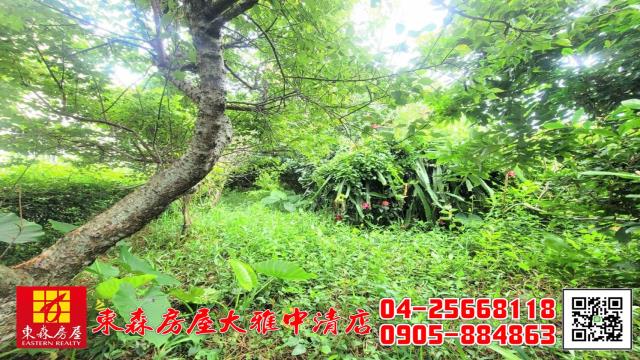 台中新社農地-15