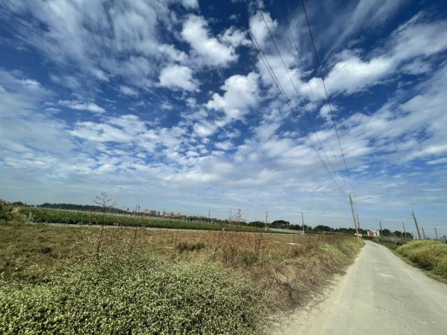 高雄阿蓮農地-4