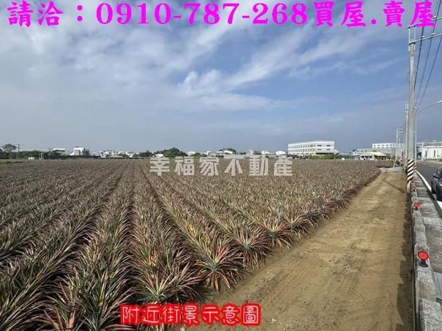 台南山上農地-10