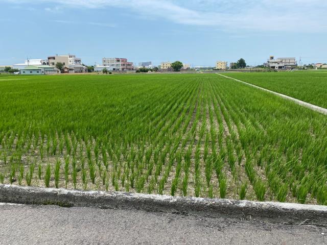 彰化秀水農地-4