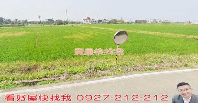 桃園新屋農地-8