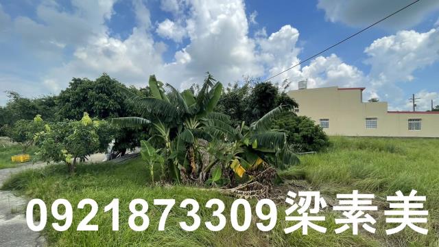 關廟農地-4