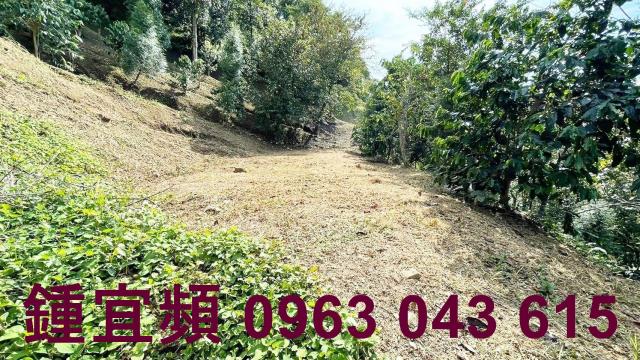 新竹橫山山坡地-13