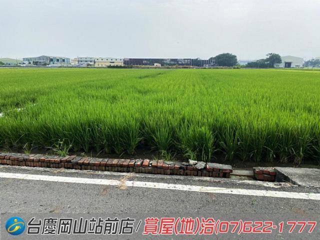 高雄橋頭農地-2