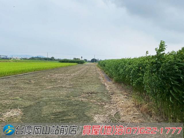 高雄橋頭農地-9