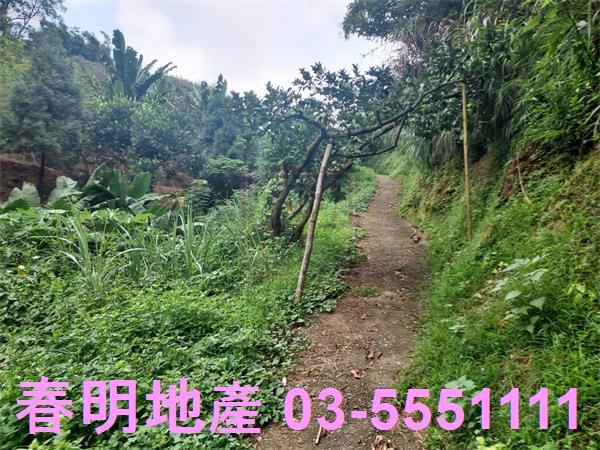 新竹芎林農地-10
