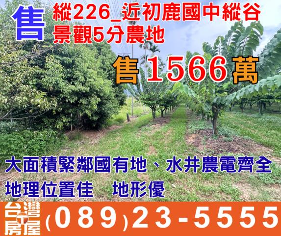 台東卑南農地-1