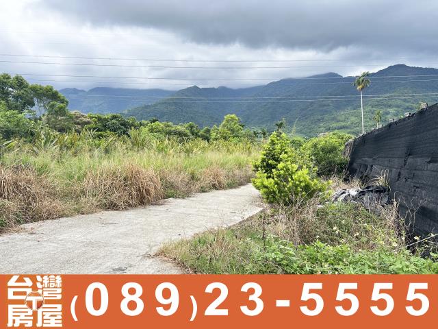 台東卑南農地-3