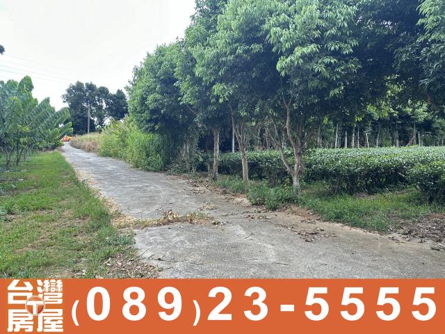 台東卑南農地-5
