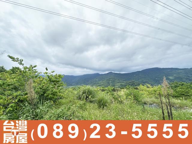 台東卑南農地-8