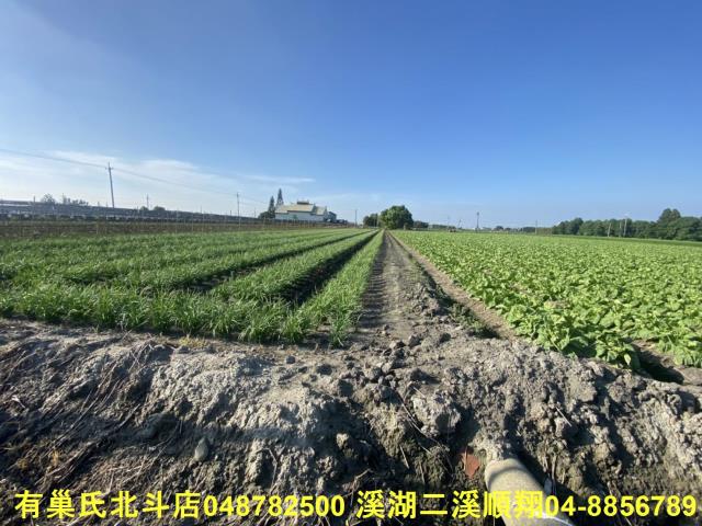 埤頭農地-4