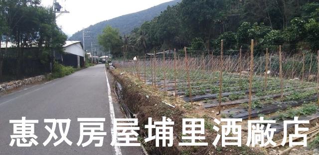 南投農地-5