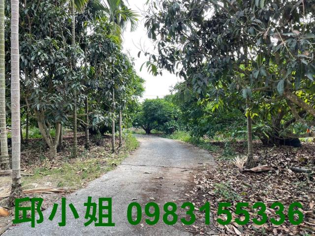 嘉義農地-2