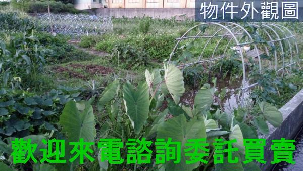 新北農地-5