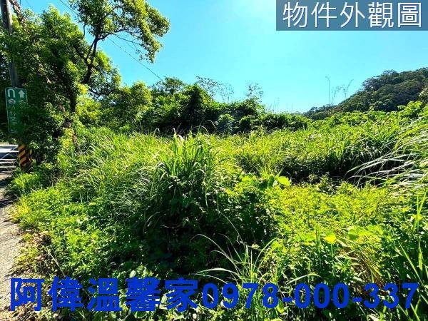 新竹橫山山坡地-3