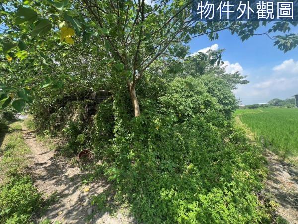 新竹芎林農地-3