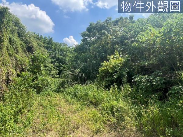 新竹芎林農地-4