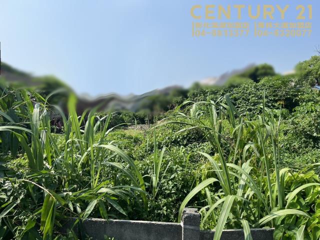 竹塘建地-4