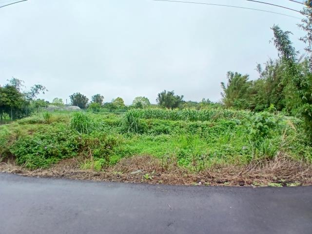 桃園農地-10