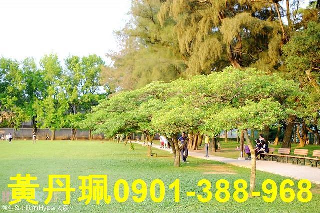 桃園龍潭農地-2