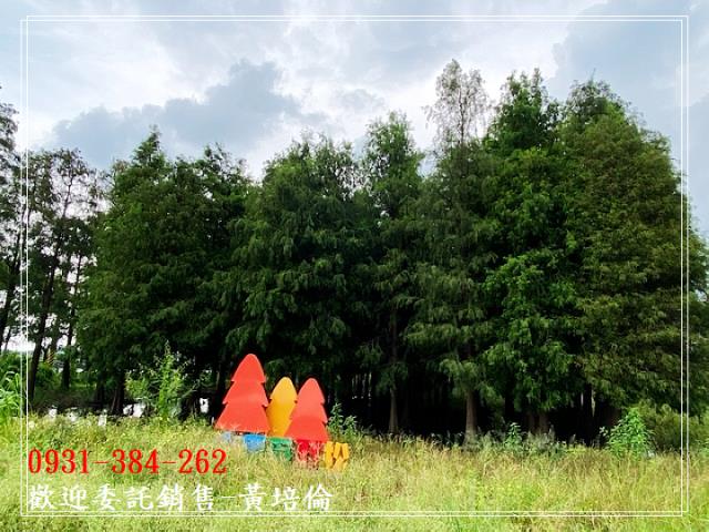 591黃培倫