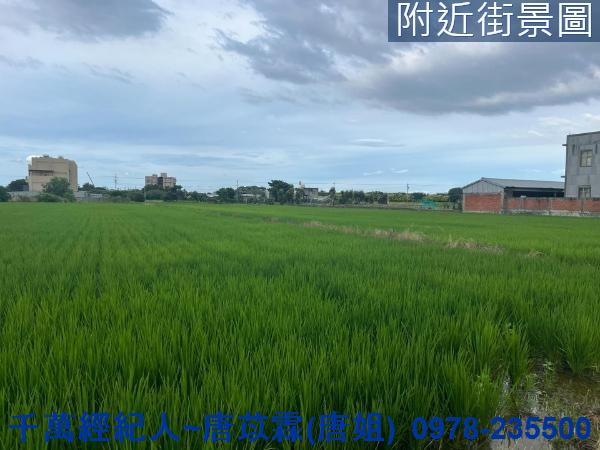 湖口農地-1