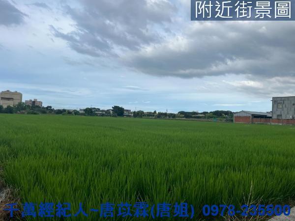 湖口農地-3
