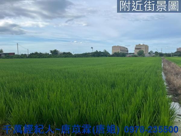 湖口農地-4